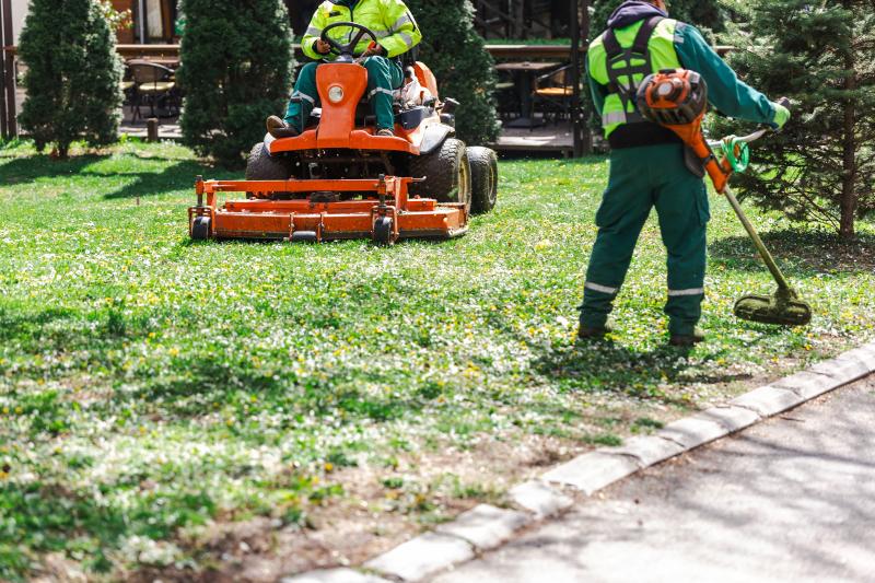 Comment choisir un paysagiste qualifié pour transformer votre jardin ?