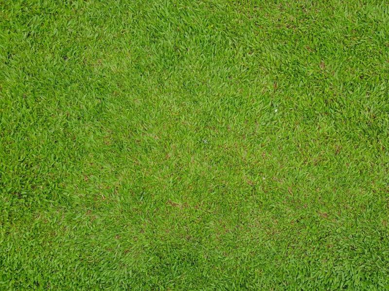 Tonte de gazon parfaite &agrave; Bl&eacute;nod-les-Pont-&agrave;-Mousson, conseils d'experts