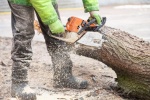 Abattage d'arbres &agrave; Bl&eacute;nod-l&egrave;s-Pont-&agrave;-Mousson, un travail de pr&eacute;cision