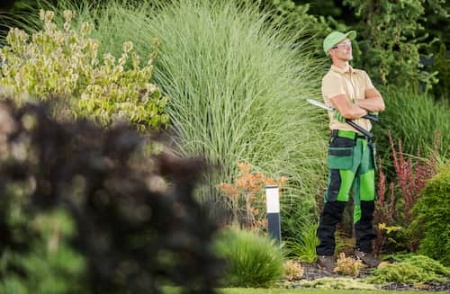 professional-garden-worker-with-pro-scissors-in-hi-2025-03-15-05-44-53-utc.jpg